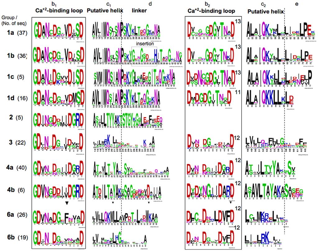 Supplementary Figures Figure S1. Conservation patterns of different dockerin groups from R. flavefaciens FD-1.