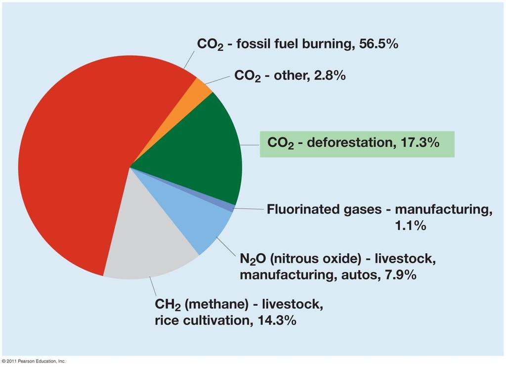 What activities release a lot of carbon dioxide