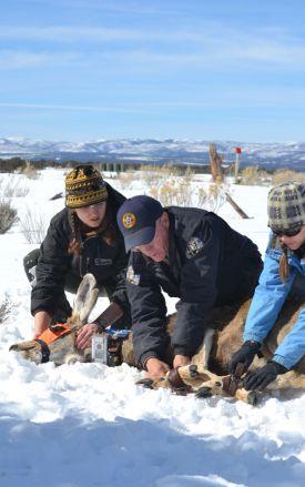 XTO has provided $5 million to assess and enhance habitats for large animals and sage grouse in the Piceance Basin in Colorado. See Figure 23 below.