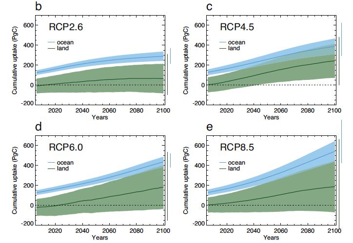 Large uncertainties in model results for uptake of carbon on