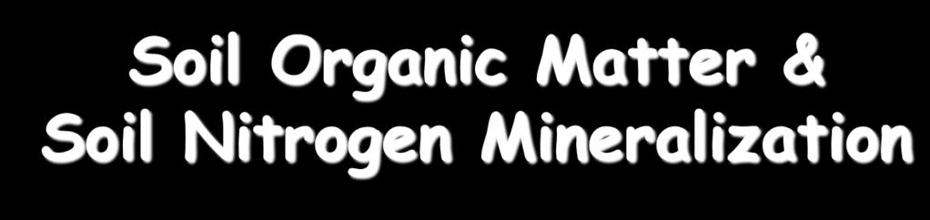 Soil Organic Matter & Soil Nitrogen Mineralization