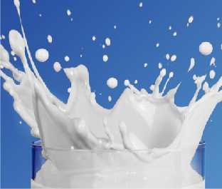 The milk package and the prospects for the dairy sector Answers to