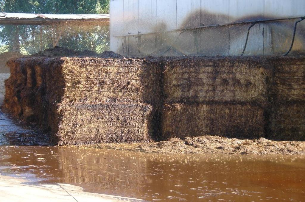 Especially critical for aerated composting Compost is not mixed or handled as often Wheat