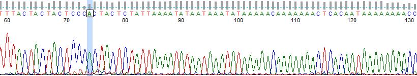 before and after enzymatic CpG methylation Upper