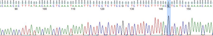Upper Trace: original H. sapiens DNA Lower Trace: Methylated H.