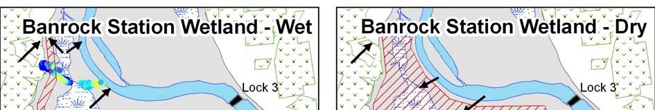 Figure 2. Conceptual models of groundwater flow and discharge for Banrock Station wetland under conditions of being inundated and dry.