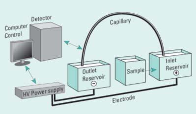 Capillary Electrophoresis For charged samples try CE first!