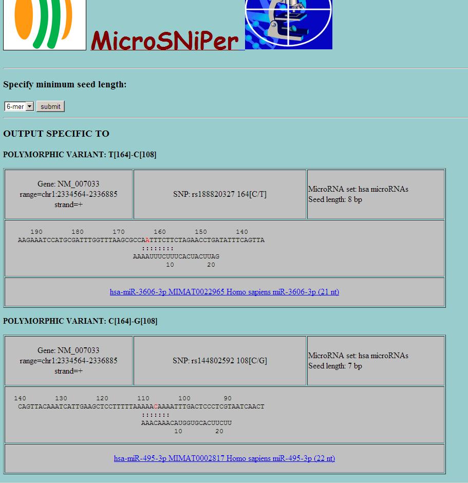 A SNP selected with radio button is added to the list of validated dbsnps (or HapMap SNPs) positioned within chosen 3 UTR. On MicroSNiPer page a user can also add her own SNPs.