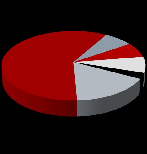 7% 53% 6% 7% 15% 3% Paper Plastics Ash, Fines &