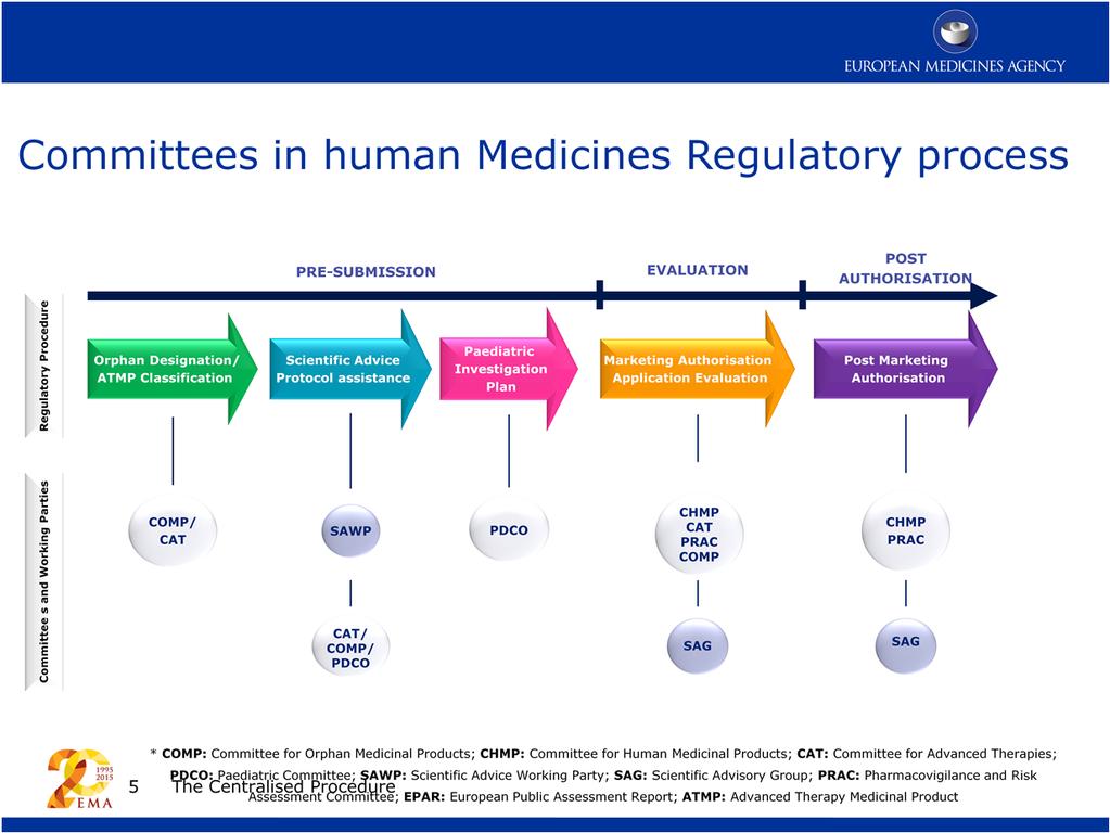 Here we see an overview of the medicines regulatory pathway and the different places where the committees interact In addition to the committees we
