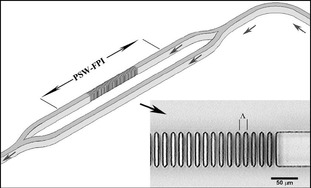 Schematic diagram of a PSW-FPI