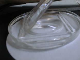PDMS into petri dish degas and cure lay glass