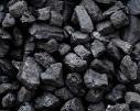 transport cost and global price pressure with coal exports to China
