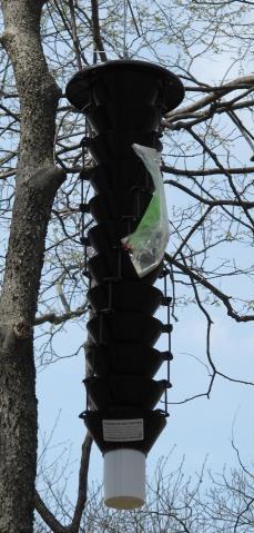 These insect traps were part of the Early Detection, Rapid Response survey conducted by the Missouri Department of Conservation and funded by the USDA Forest Service.