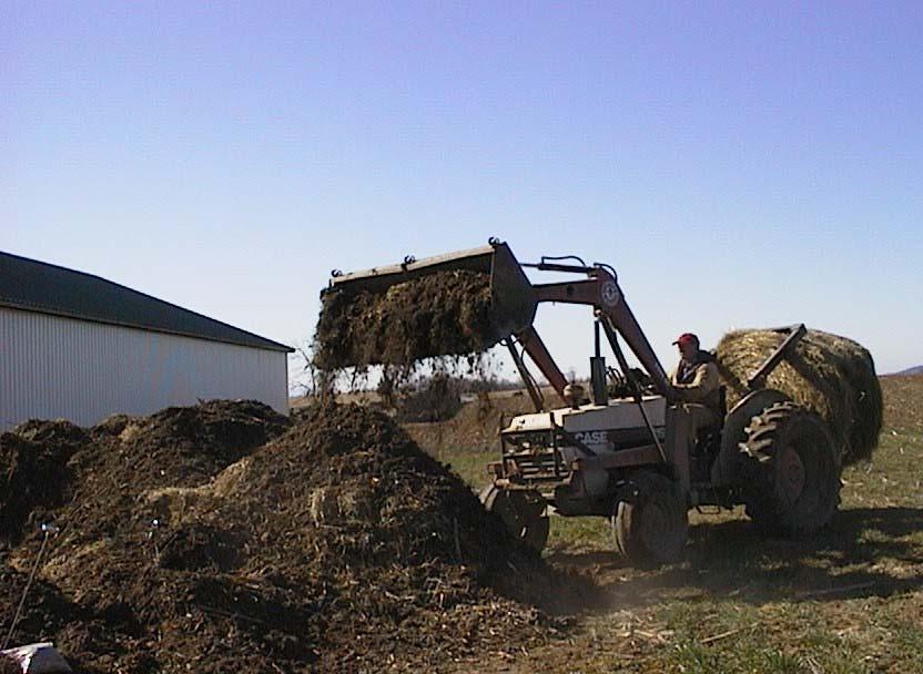 Photograph 15, Farm 3: Placing a blanket of wood mulch over Animal Number 1.