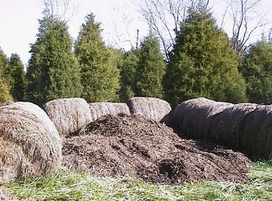 As with Farm 1, too few woodchips were placed over the cow, and the pile temperature did not rise above 80 F. Photograph 3, Farm 2: Bale arrangement prior to composting.