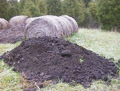 composting process. The aged cow manure was well decomposed prior to use and thus likely had little available energy for composting.