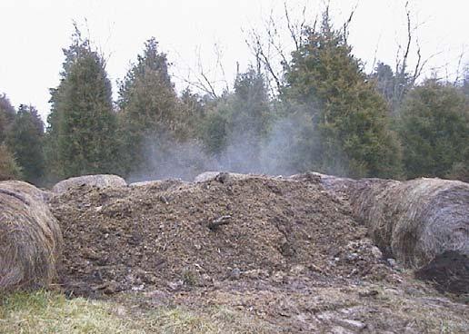 re-covered with old corn silage (Photograph 7) and a blanket of woodchips (Photograph 8).