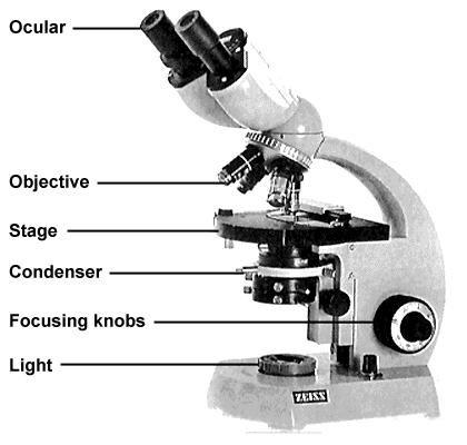 Fig. 2. Bright field microscope Dark field microscope: Living, unstained cells and organisms can be observed by changing the way in which they are illuminated.