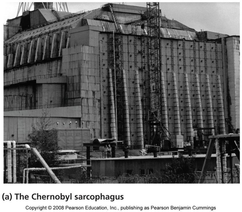 The Chernobyl accident The
