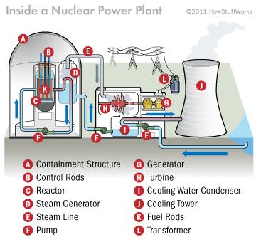 Nuclear energy comes from uranium Nuclear reactors = facilities within nuclear power plants Nuclear fuel cycle = the process when naturally occurring uranium is mined from underground deposits