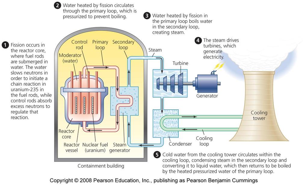 A typical light water reactor Copyright 2008 Pearson