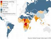 2010 Global Hunger Index