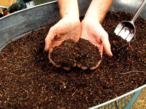 Organic Fertilizer (cont) Compost broken down food, paper and leaves Pros: free if produced