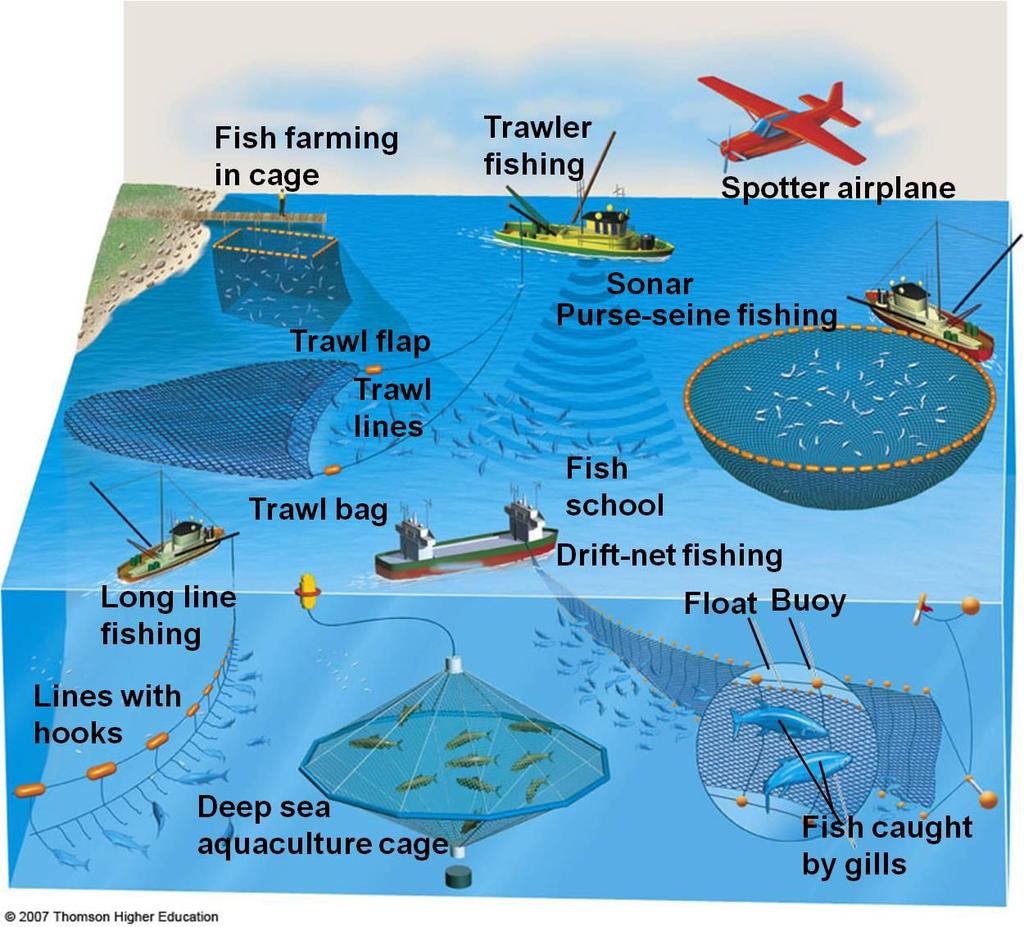 Fishing Methods Major problems with fishing include: Overfishing due to