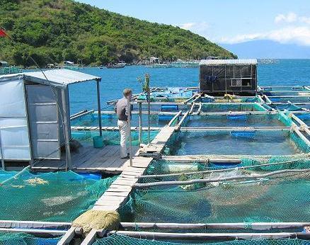 Aquaculture Raising marine and freshwater fish in ponds and underwater cages like a