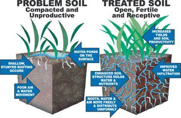 Other Soil Problems Compaction soil is crushed by machinery, closing pore spaces Pore spaces provide oxygen for soil organisms,