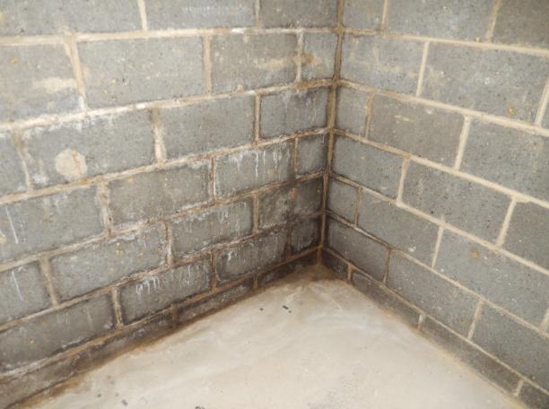 Foundation walls commonly develop settlement or shrinkage cracks and should be sealed and monitored for further movement.