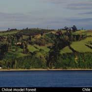 Chiloé Model Forest, Chile Located on the island of Chiloé and spans some 918 000 hectares, including Chiloé National Park and a large number of small privately-owned woodlots Rural Tourism Project: