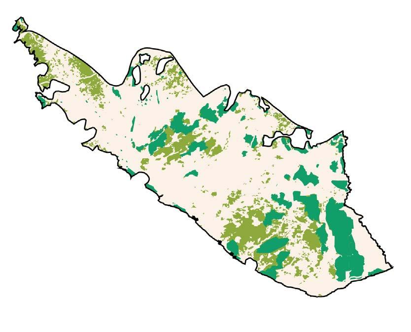 1. Western Guinean Lowland Forests 16,577