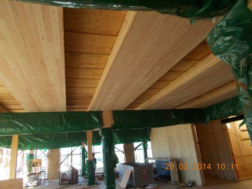 Roof Panel Structure