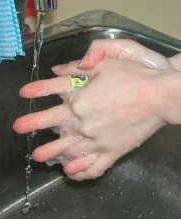 HAND WASHING Is considered the simplest most effective means reducing the spread of infection when done properly and frequently Wash with soap and water After removing