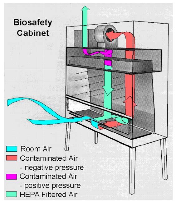 and the environment Aerosols exposure by blowing air out, into the room: Horizontal-flow Vertical-flow protection