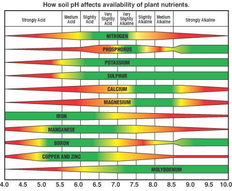 Sulfur application lowers the ph of alkaline soil, increasing the uptake and efficiency of all of the other plant nutrients.