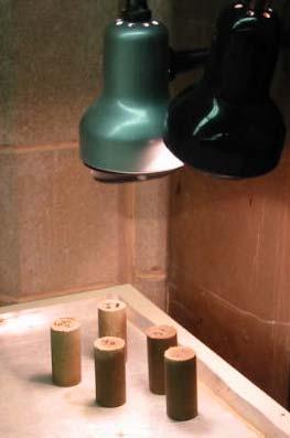 Modified UCS Testing Procedure Drying the samples using two- 40 watt lamps Prepared according to AASHTO designation T