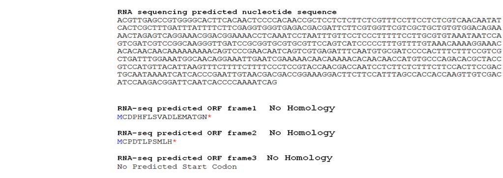 Figure 18. A differentially expressed region of low coding potential with a manually assembled nucleotide sequence indicates only small ORF potential.