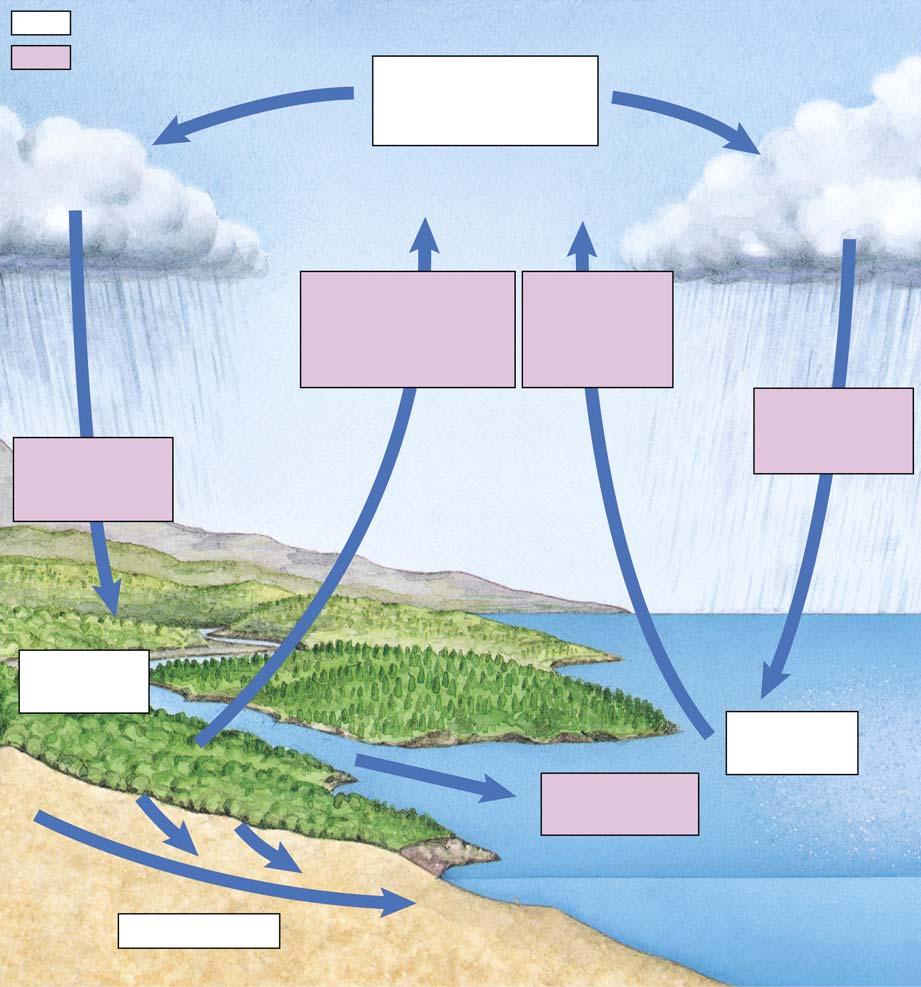 reservoirs processes water vapor in the atmosphere precipitation over land evaporation from land and transpiration from plants