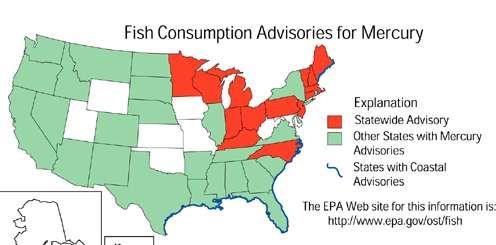 Fish Advisories 13 states have state wide advisories for fish from rivers and lakes 40 states