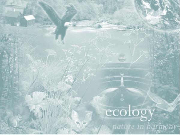 What is Ecology?