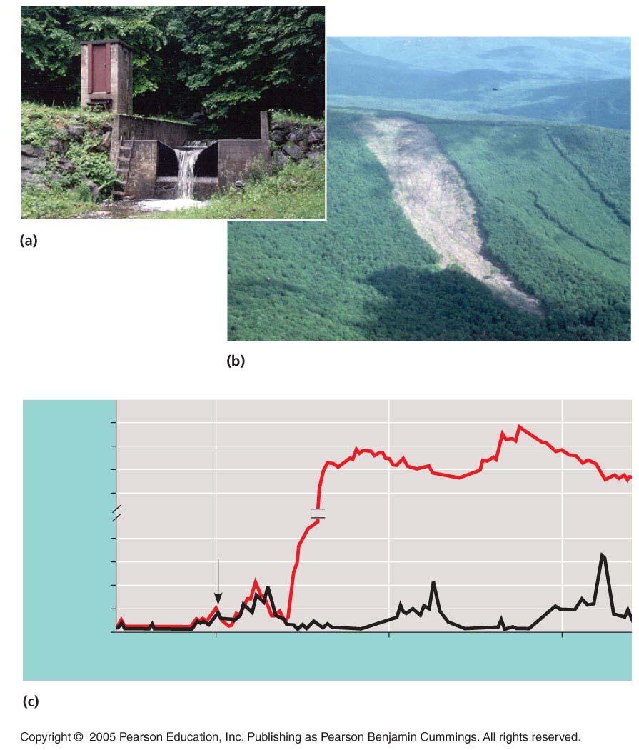 LE 54-19 Concrete dams and weirs built across streams at the bottom of watersheds enabled researchers to monitor the outflow of water and nutrients from the ecosystem.