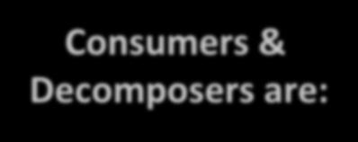 Decomposers are: Heterotrophs: consume, directly or