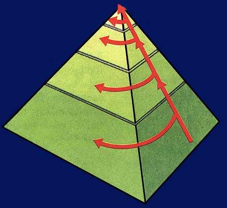 Energy and trophic levels: Ecological pyramids An ecological pyramid can show how energy flows through an ecosystem.