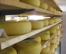 Cheese Trends*^ Specialty cheese sales grew 16.1% from 2011 to 2013 o Down from a 28% growth between 2003-2005 Specialty cheese is increasing as a percentage of overall cheese sales o 20.