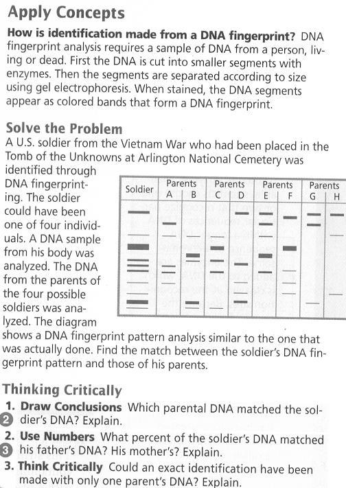 5 DNA Fingerprinting Cloning 1. Study the diagram above. Briefly describe the steps involved in the cloning process. 1. Parents C and D. Procedure 1.