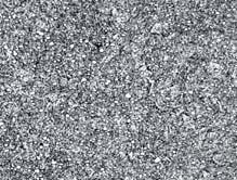 2379) Microstructure of ledeburitic