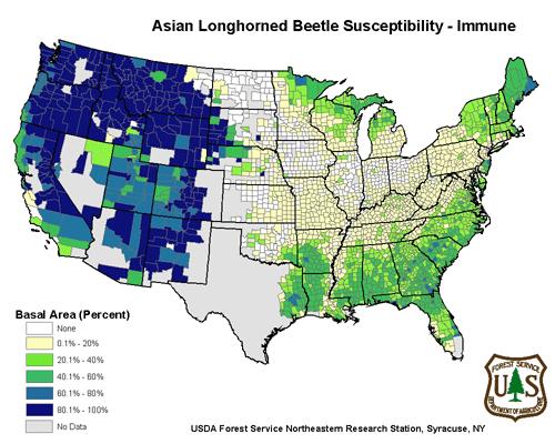 Beetle Percent Basal Area on Immune to Percent